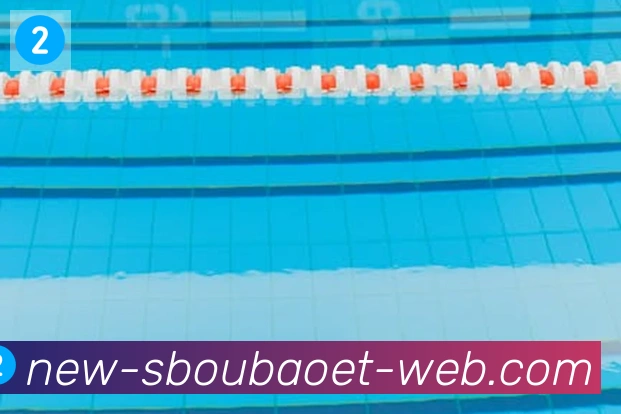 利记sbobet体育平台生态图